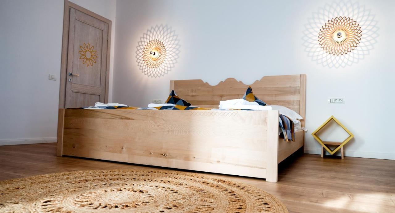Conacul Olarilor Bed and Breakfast Baia de Fier Eksteriør billede