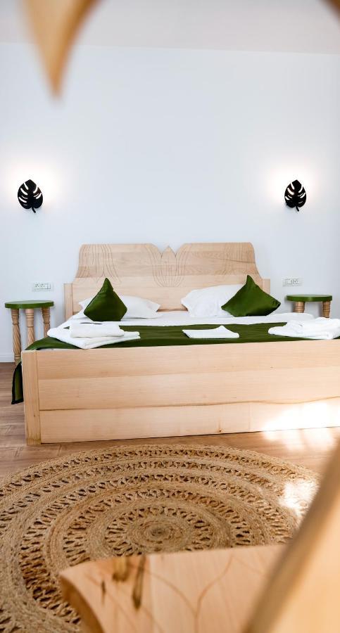 Conacul Olarilor Bed and Breakfast Baia de Fier Eksteriør billede