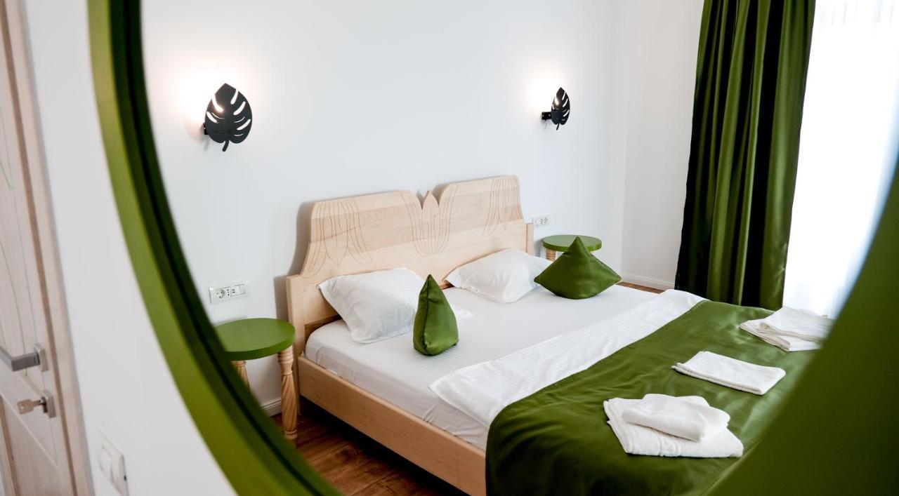Conacul Olarilor Bed and Breakfast Baia de Fier Eksteriør billede